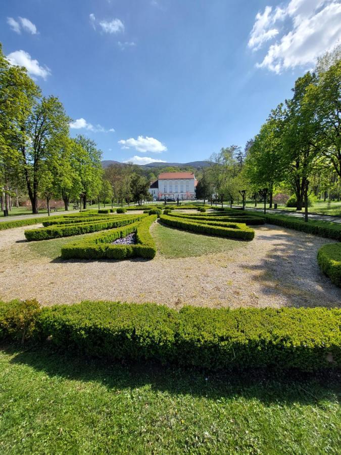 Отель Aleks Sobe Баня-Ковиляча Экстерьер фото